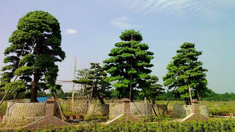 园区实景