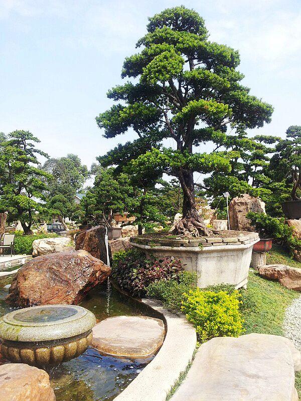 园区实景